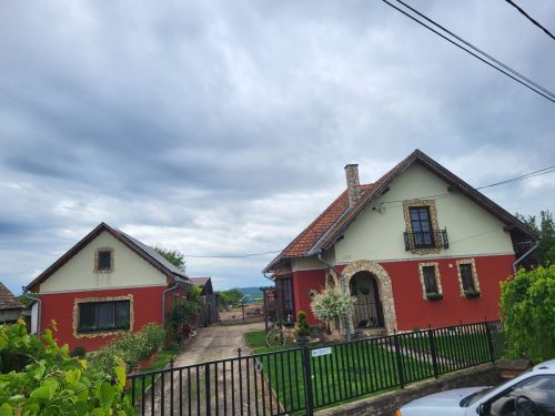 Szakaly 1